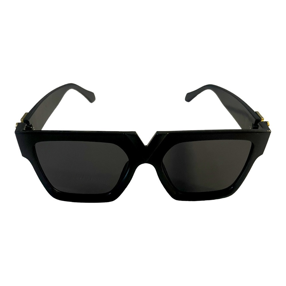 🕶️black-rimmed Shades with a hint of gold🕶️